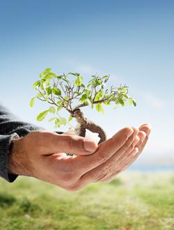 Investmentfonds Investmentfonds